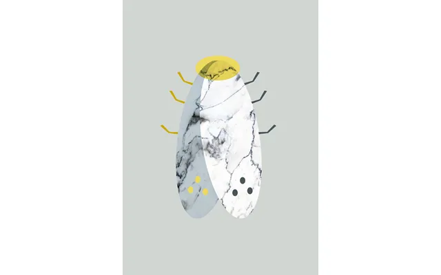 Marbel Moth Af Myro Graphics