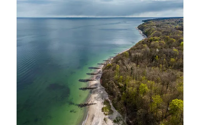 Marselisborg Skov Af Kenneth Bagge