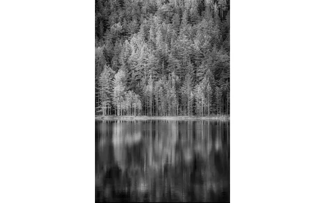 Norwegian Woods Af Kenneth Bagge