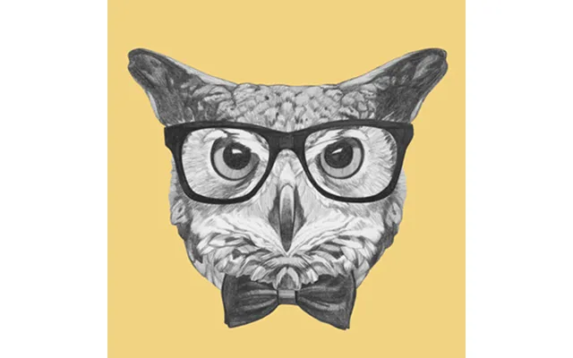 Ordinary Owl Af Illux