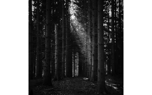 Path Af Jakob Evers