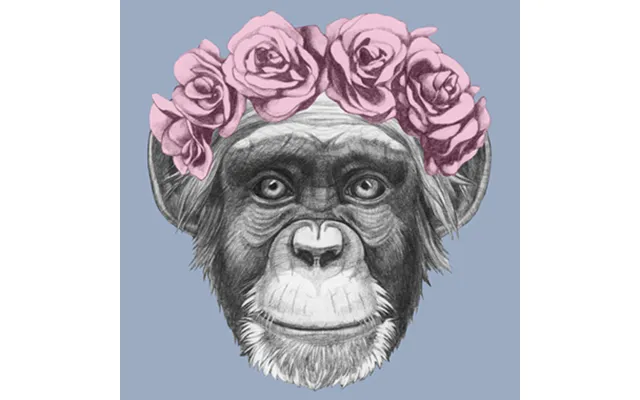 Pretty Little Monkey Af Illux