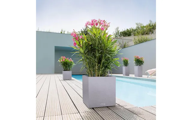 Lechuza Canto Stone Low Udendørs Krukke Til Blomster Med Selvvandingssytem Stone Gray 40 X 40 X H40 Cm