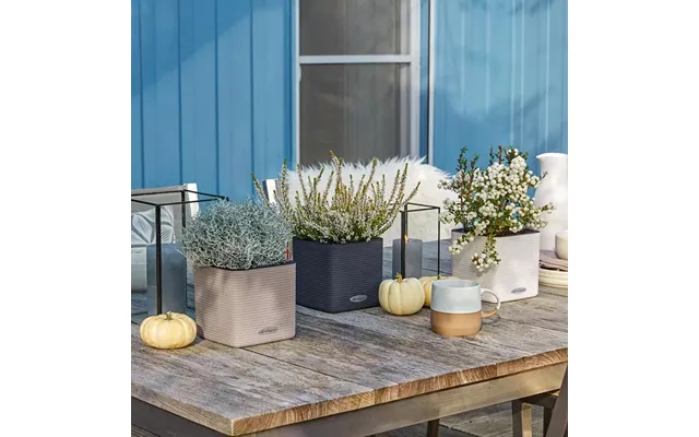Lechuza Cube Color 14 Indendørs Krukke Til Blomster Med Selvvandingssystem 13,5 Hvid