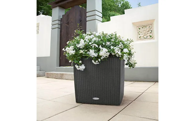 Lechuza Cube Cottage Udendørs Krukke Til Blomster Med Selvvandinssystem Graphite Black 50 X 50 X H50 Cm