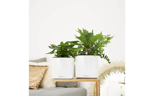 Lechuza Cube Glossy 16 Indendørs Krukke Til Blomster Med Selvvandingssystem Charcoal Højglans