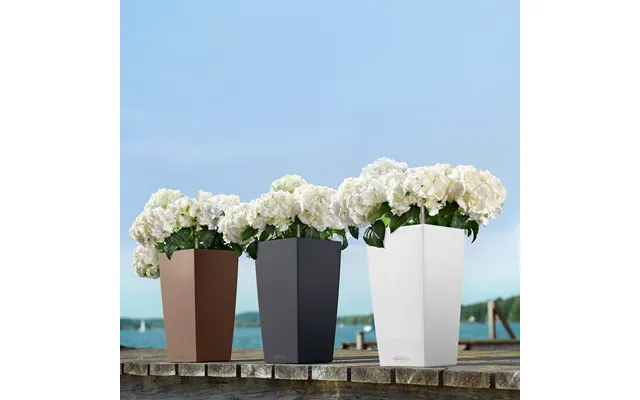 Lechuza Cubico Color Krukke Til Blomster Med Selvvandingssystem Hvid 22 X 22 X H41 Cm