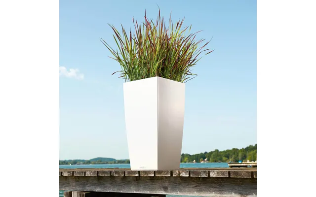 Lechuza Cubico Color Krukke Til Blomster Med Selvvandingssystem Hvid 40 X 40 X H75 Cm