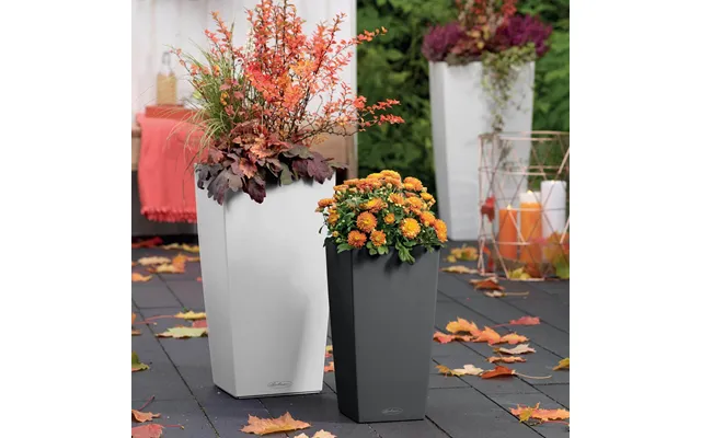Lechuza Cubico Color Krukke Til Blomster Med Selvvandingssystem Slate 22 X 22 X H41 Cm