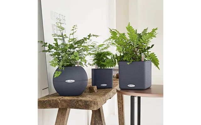 Lechuza Puro Color 20 Krukke Til Blomster Med Selvvandingssystem Slate product image