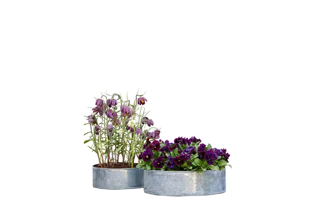 Plantebakke Rund Galvaniseret