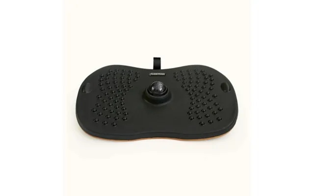 Swedish Posture Swedish Posture Balancebrædt Standy 7350059822270 Modsvarer N A