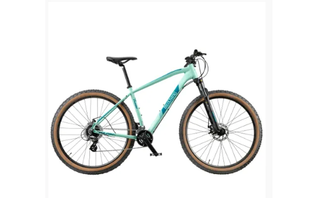 Mustang Vulcan Tx550 29 Mountainbike Med 16 Gear - Mint Green