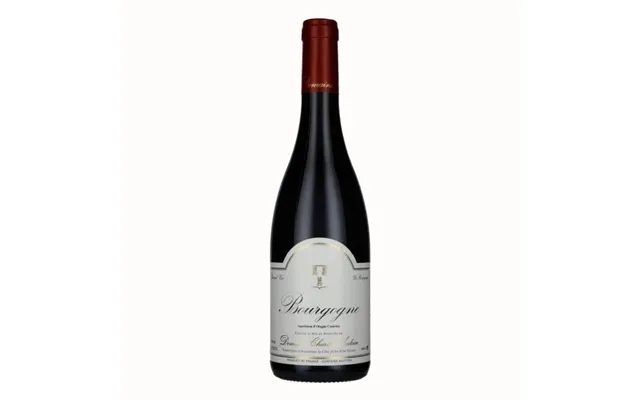 Bourgogne Rouge Domaine Charles Audoin 2023