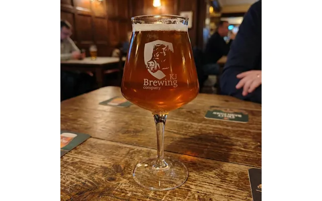Teku Glas Med Eget Logo 42cl - 2 Stk
