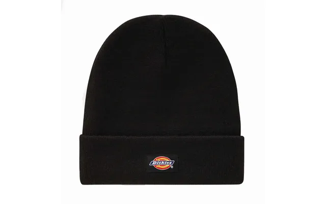 Dickies Gibsland Hue Sort