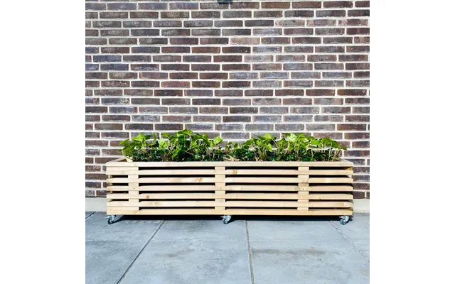 Blomsterkasse Af Traller Brugte Traller 43 Cm 7 Lægter 170 Cm