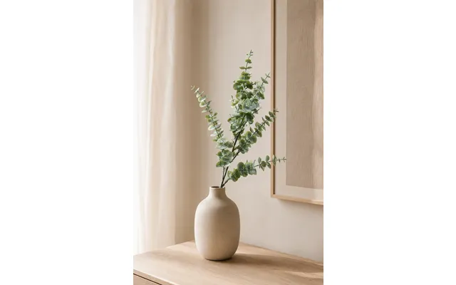 Eukalyptus 28 Cm