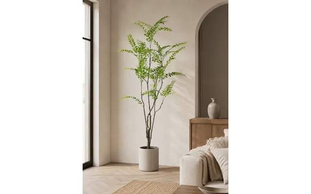 Pistacie Plante I Pot 210 Cm