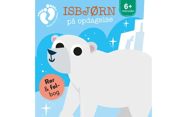 Isbjørn På Opdagelse