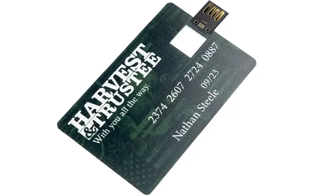 Payday - Usb Card