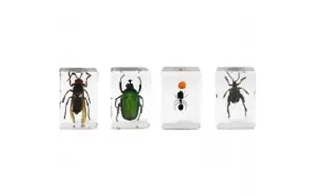 Celestron Microscope Sample 3d Bug Kit 5 - Mikroskop