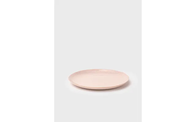 Dinner Plate - 27 Cm