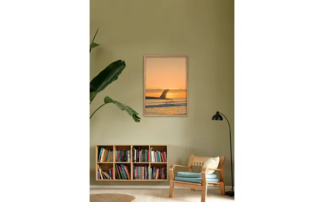 Sunset Fin 40x50 - Poster