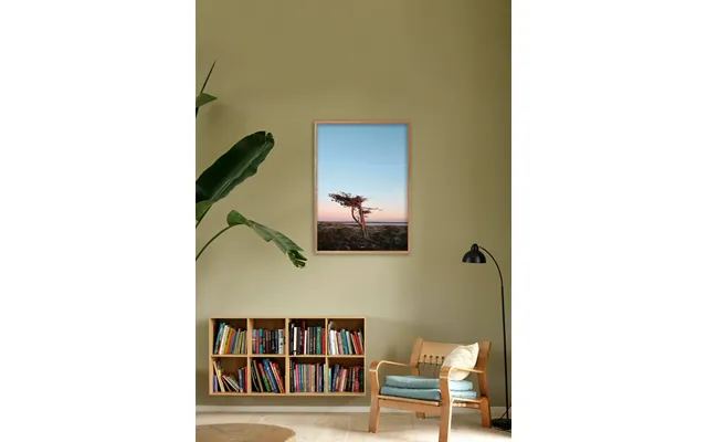 Tree 40x50 - Poster