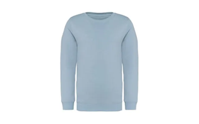 Custom Collection - Sweatshirt, Børn