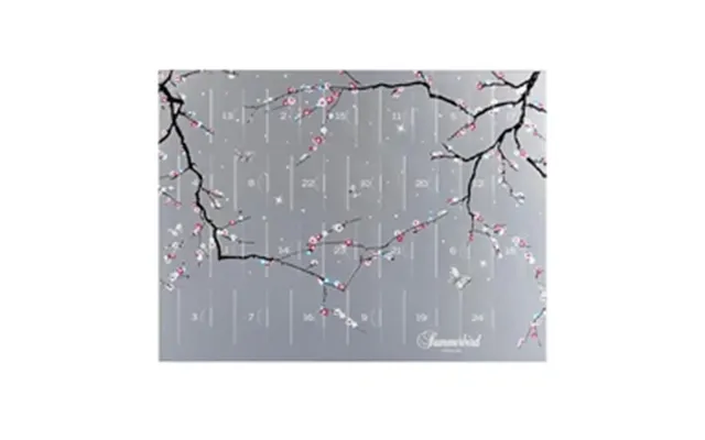 Summerbird - Chokolade Julekalender