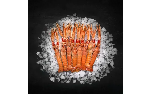Eksklusivt 1 Kg Friske Jomfruhummere Strandby Auktionen