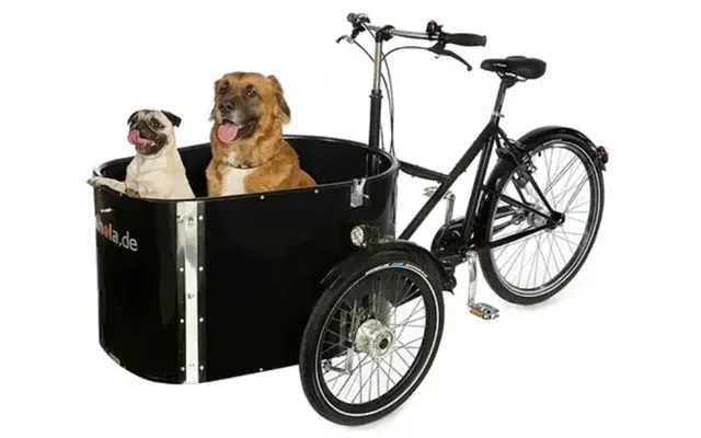 Nihola Dog El Ladcykel