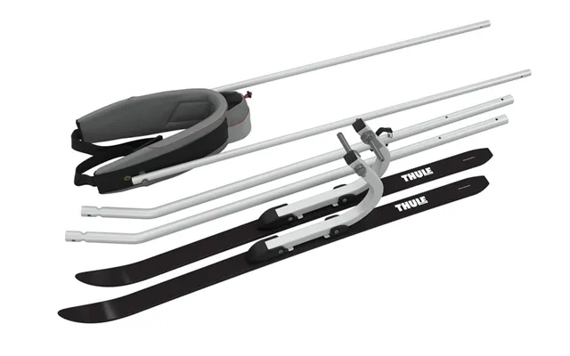 Thule Ski