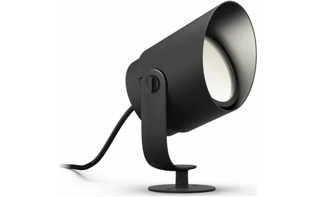 Philips Hue Lily Xl Havespot