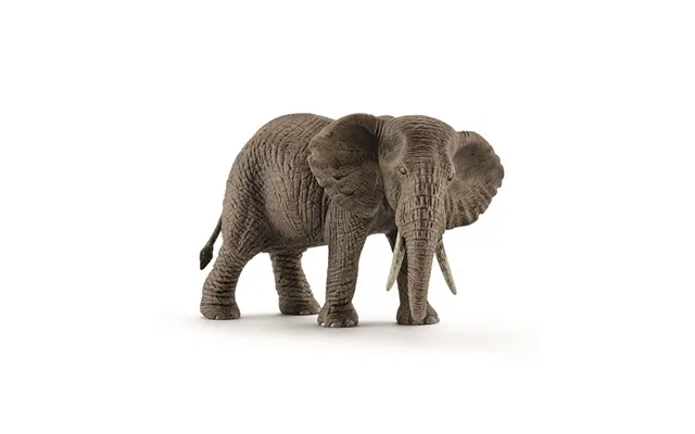 Schleich, African Elephant Female - Dyr