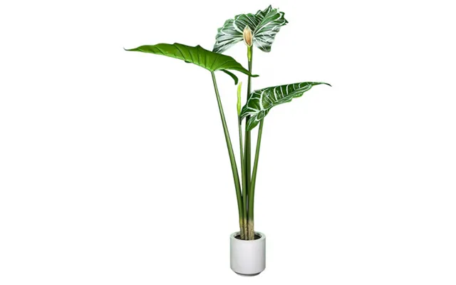 Kunstig Alocasia Plante H140 Cm - Grøn