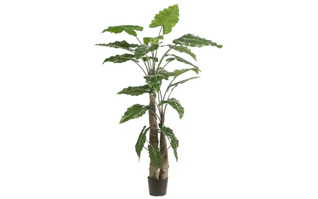 Kunstig Alocasia Plante H180 Cm