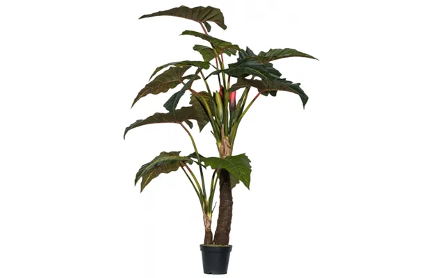 Kunstig Alocasia Plante H220 Cm