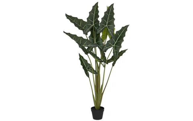Kunstig Alocasia Taro Plante H160 Cm