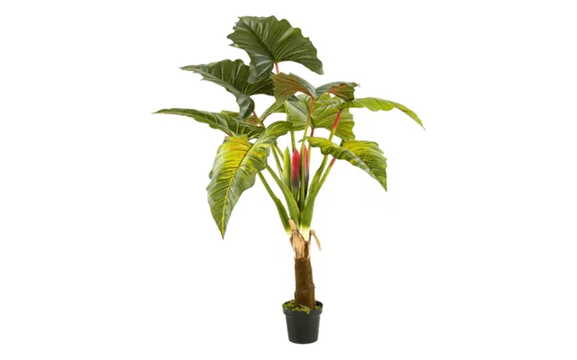 Kunstig Colocasia Plante H160 Cm