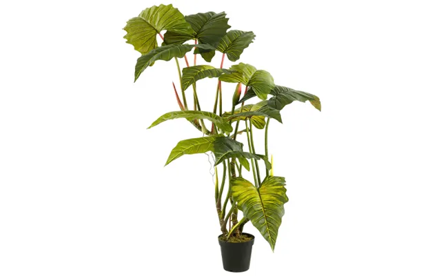 Kunstig Colocasia Plante H175 Cm