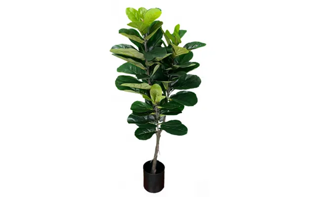 Kunstig Ficus Plante H150 Cm - Grøn