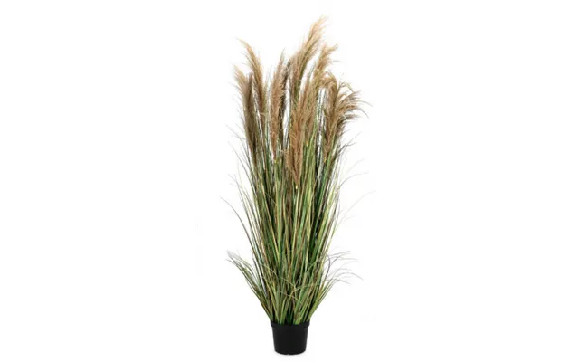 Kunstigt Pampas Græs H180 Cm