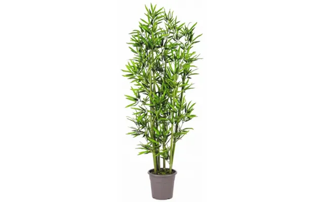Stor Kunstig Bambus Plante H300 Cm