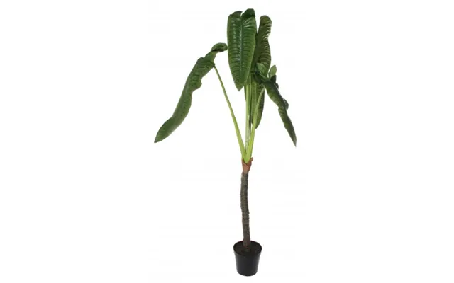 Stor Kunstig Elefantøre Plante H240 Cm