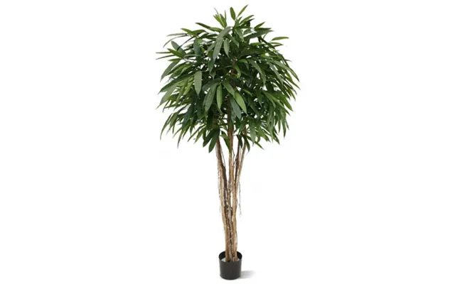 Stor Kunstig Longfolia Plante H180 Cm - Grøn