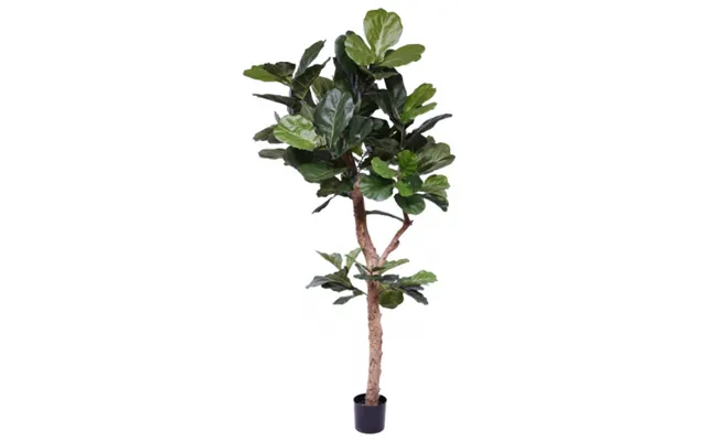 Stor Kunstig Lyrata Plante H210 Cm - Grøn