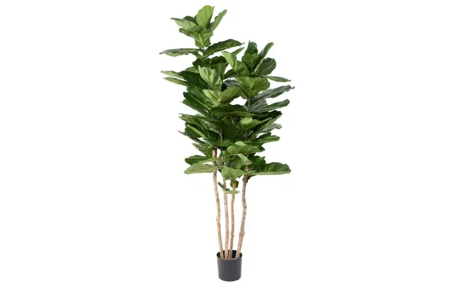 Stor Kunstig Lyrata Plante H210 Cm