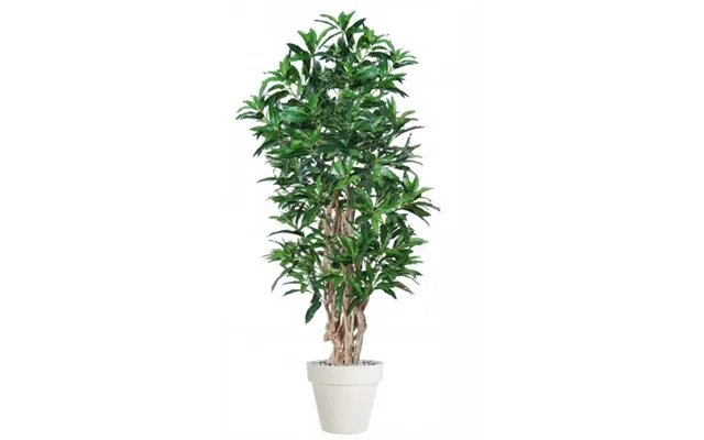 Stor Kunstig Mango Plante Med Potte H220 Cm